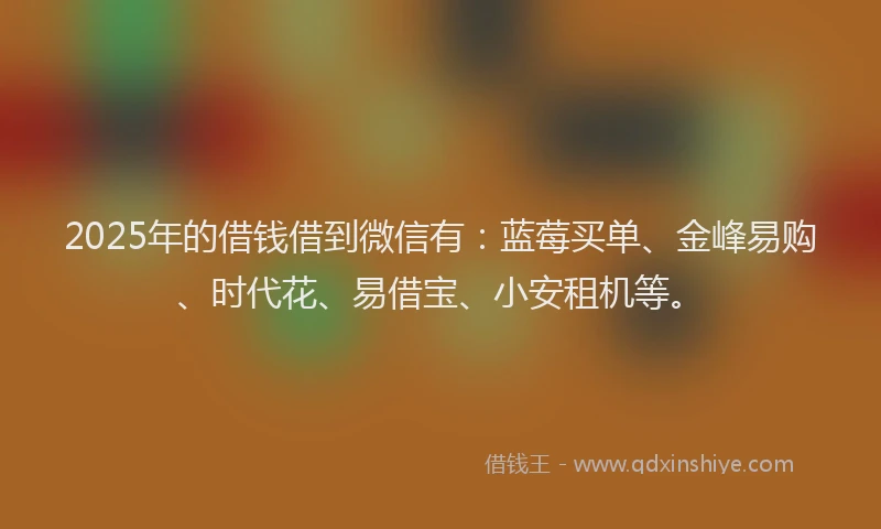 2025年的借钱借到微信有：蓝莓买单、金峰易购、时代花、易借宝、小安租机等。