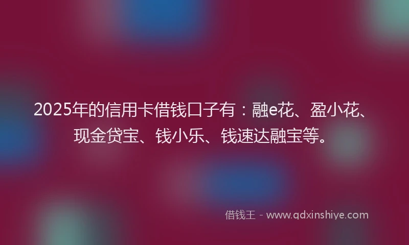 2025年的信用卡借钱口子有：融e花、盈小花、现金贷宝、钱小乐、钱速达融宝等。