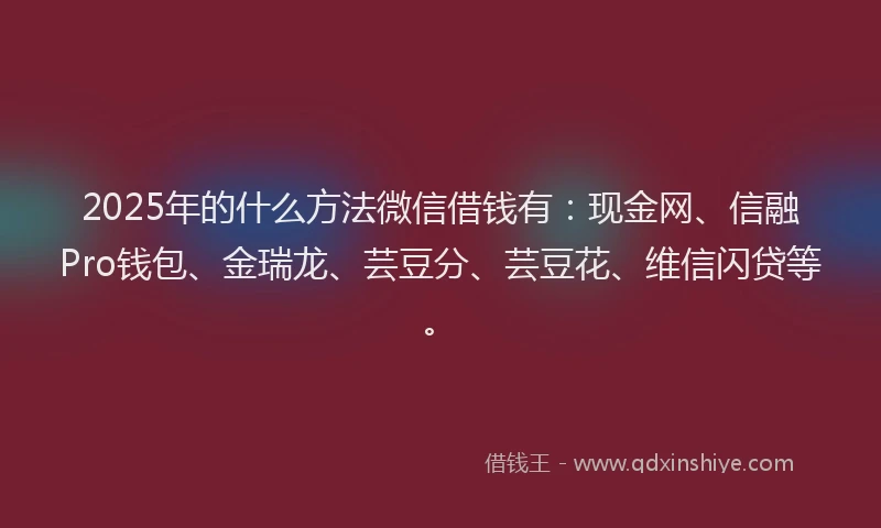 2025年的什么方法微信借钱有：现金网、信融Pro钱包、金瑞龙、芸豆分、芸豆花、维信闪贷等。