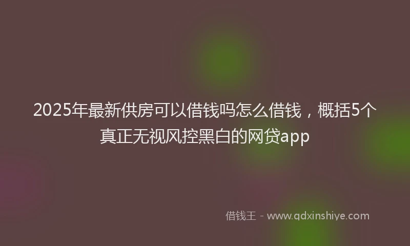 2025年最新供房可以借钱吗怎么借钱，概括5个真正无视风控黑白的网贷app