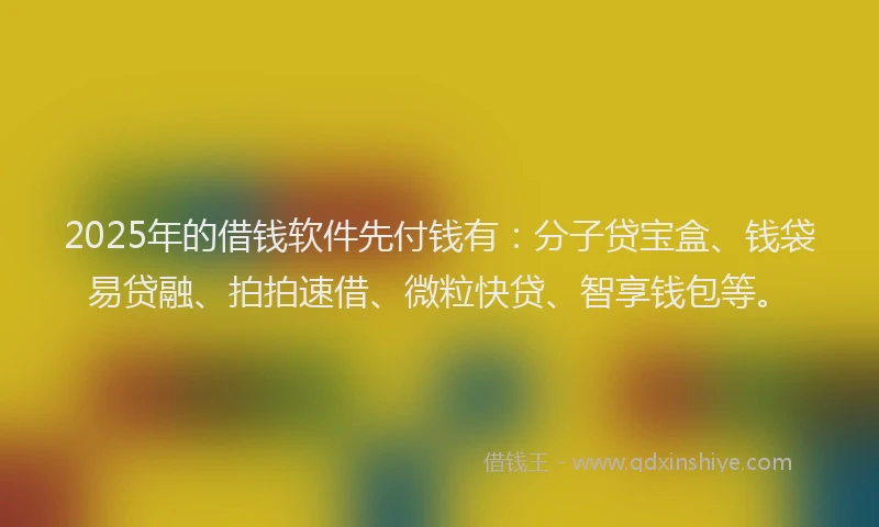 2025年的借钱软件先付钱有：分子贷宝盒、钱袋易贷融、拍拍速借、微粒快贷、智享钱包等。