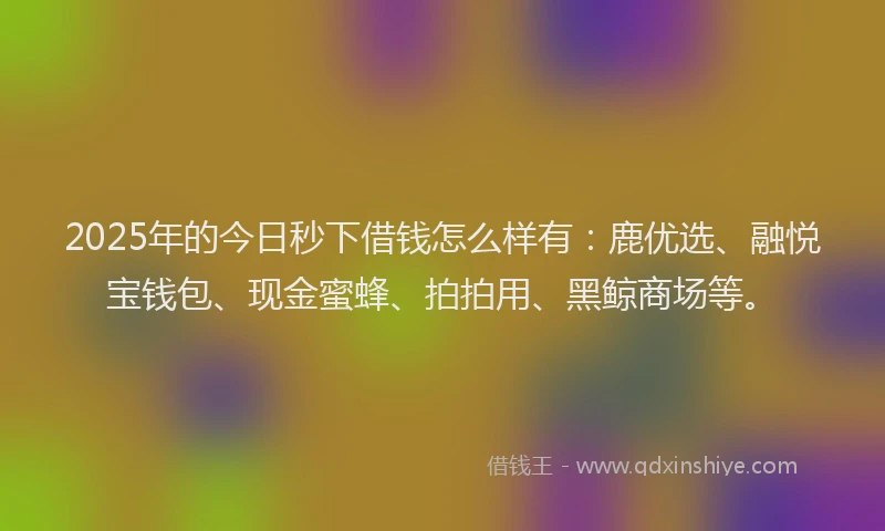 2025年的今日秒下借钱怎么样有：鹿优选、融悦宝钱包、现金蜜蜂、拍拍用、黑鲸商场等。