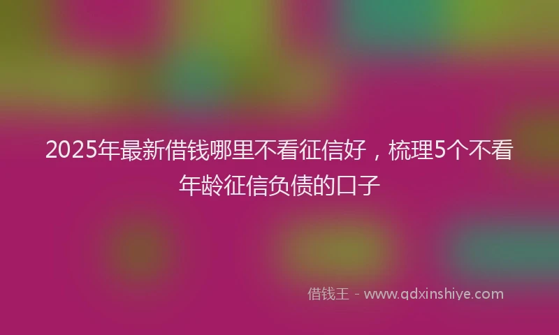 2025年最新借钱哪里不看征信好，梳理5个不看年龄征信负债的口子