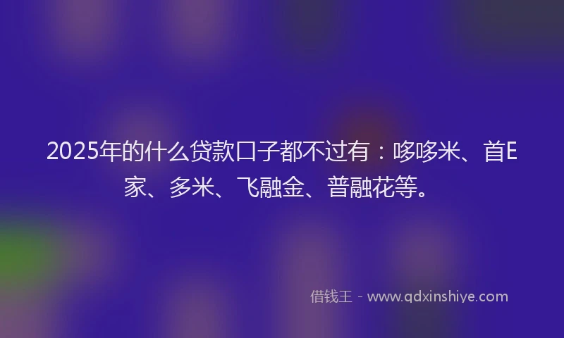 2025年的什么贷款口子都不过有：哆哆米、首E家、多米、飞融金、普融花等。