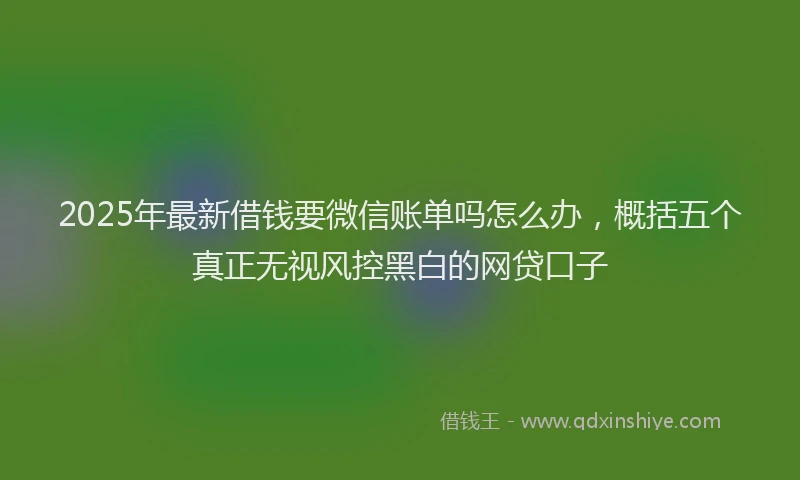2025年最新借钱要微信账单吗怎么办，概括五个真正无视风控黑白的网贷口子