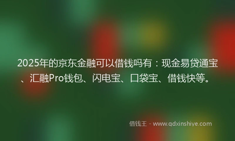 2025年的京东金融可以借钱吗有：现金易贷通宝、汇融Pro钱包、闪电宝、口袋宝、借钱快等。
