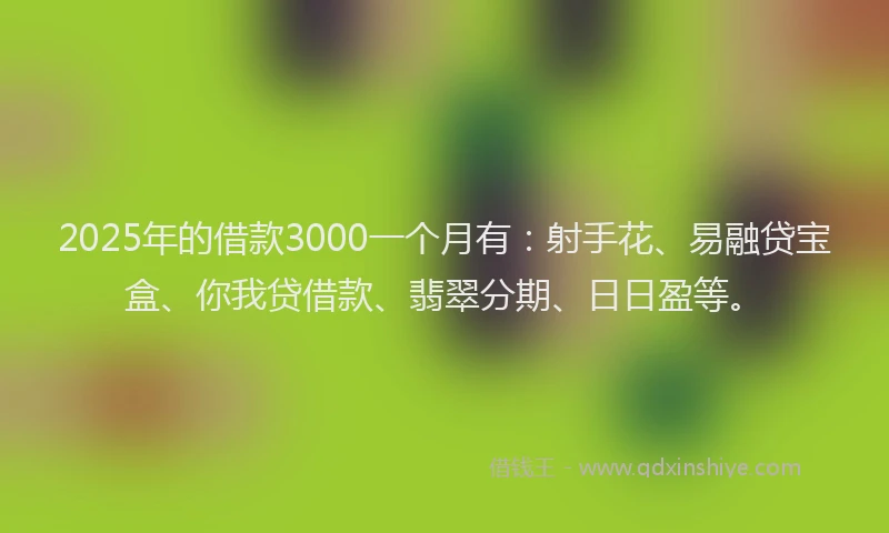 2025年的借款3000一个月有：射手花、易融贷宝盒、你我贷借款、翡翠分期、日日盈等。