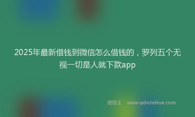 2025年最新借钱到微信怎么借钱的，罗列五个无视一切是人就下款app