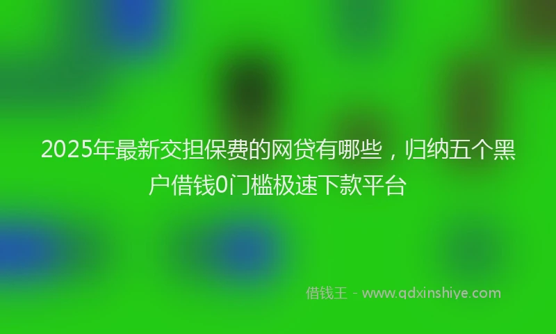 2025年最新交担保费的网贷有哪些，归纳五个黑户借钱0门槛极速下款平台