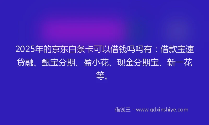 2025年的京东白条卡可以借钱吗吗有：借款宝速贷融、甄宝分期、盈小花、现金分期宝、新一花等。