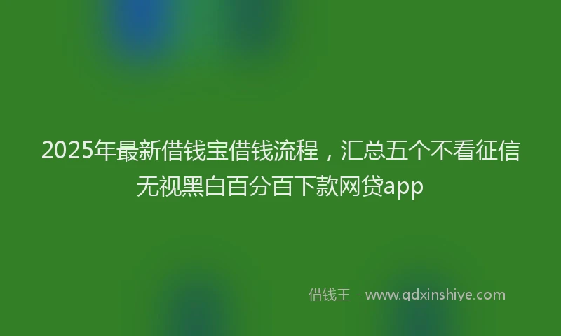 2025年最新借钱宝借钱流程，汇总五个不看征信无视黑白百分百下款网贷app