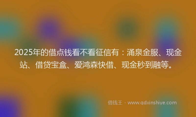 2025年的借点钱看不看征信有：涌泉金服、现金站、借贷宝盒、爱鸿森快借、现金秒到融等。
