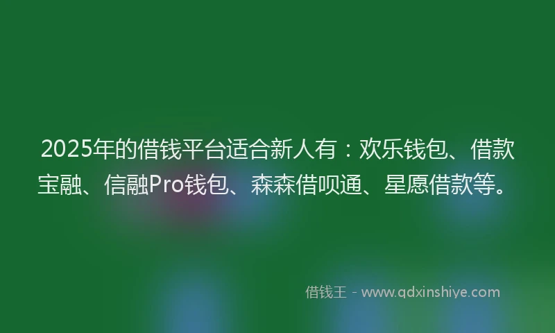 2025年的借钱平台适合新人有：欢乐钱包、借款宝融、信融Pro钱包、森森借呗通、星愿借款等。