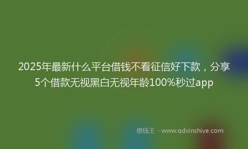 2025年最新什么平台借钱不看征信好下款，分享5个借款无视黑白无视年龄100%秒过app