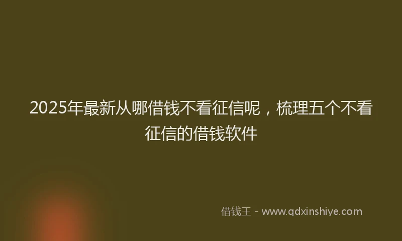2025年最新从哪借钱不看征信呢，梳理五个不看征信的借钱软件