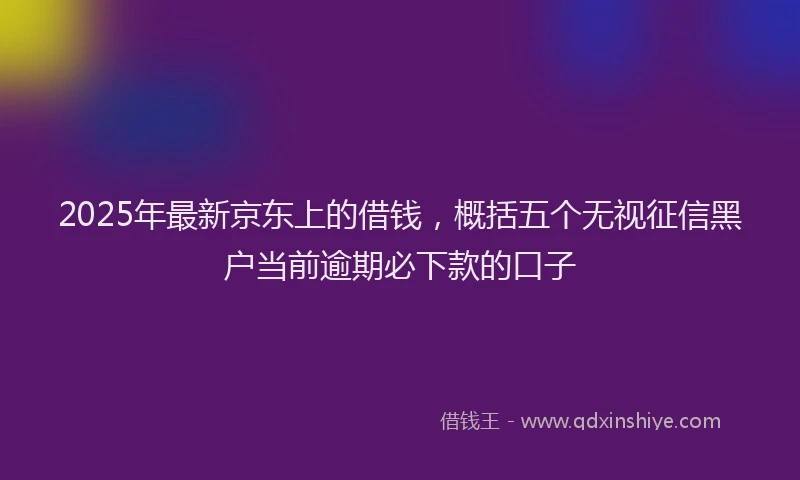 2025年最新京东上的借钱，概括五个无视征信黑户当前逾期必下款的口子