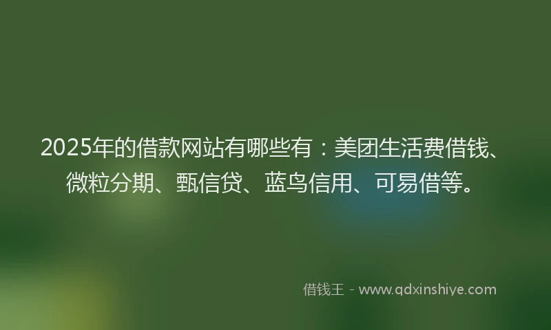 2025年的借款网站有哪些有：美团生活费借钱、微粒分期、甄信贷、蓝鸟信用、可易借等。