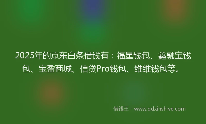 2025年的京东白条借钱有：福星钱包、鑫融宝钱包、宝盈商城、信贷Pro钱包、维维钱包等。