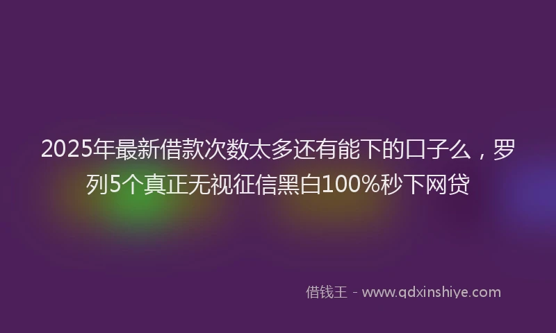 2025年最新借款次数太多还有能下的口子么，罗列5个真正无视征信黑白100%秒下网贷