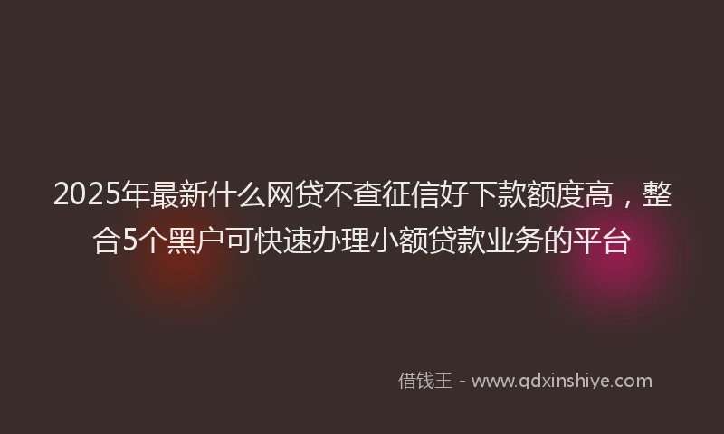 2025年最新什么网贷不查征信好下款额度高，整合5个黑户可快速办理小额贷款业务的平台