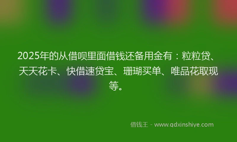 2025年的从借呗里面借钱还备用金有：粒粒贷、天天花卡、快借速贷宝、珊瑚买单、唯品花取现等。