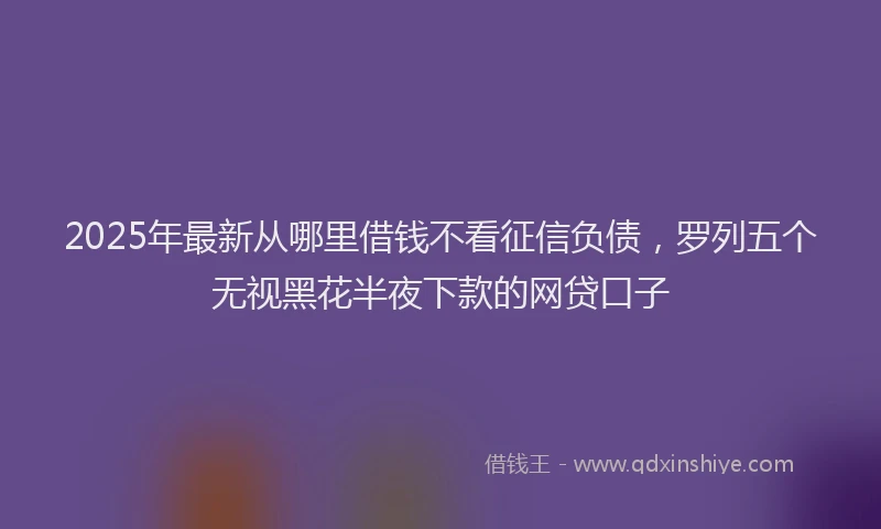 2025年最新从哪里借钱不看征信负债，罗列五个无视黑花半夜下款的网贷口子