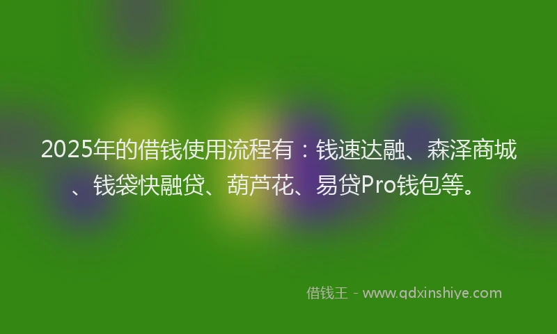 2025年的借钱使用流程有：钱速达融、森泽商城、钱袋快融贷、葫芦花、易贷Pro钱包等。