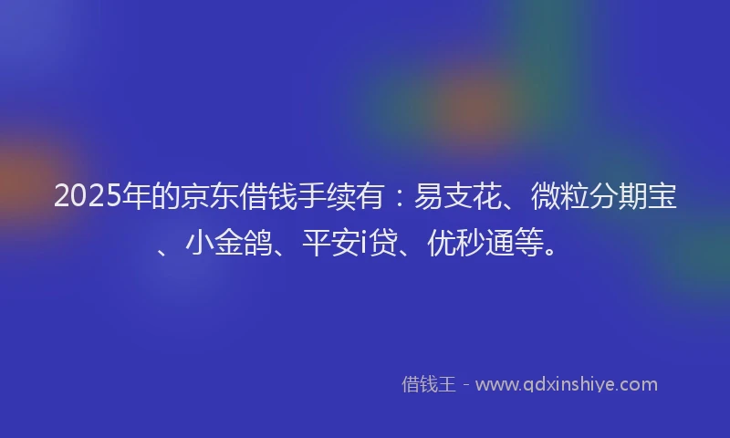 2025年的京东借钱手续有：易支花、微粒分期宝、小金鸽、平安i贷、优秒通等。