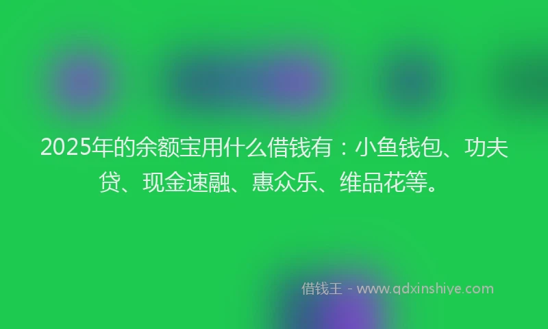 2025年的余额宝用什么借钱有：小鱼钱包、功夫贷、现金速融、惠众乐、维品花等。