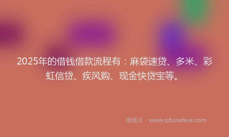 2025年的借钱借款流程有：麻袋速贷、多米、彩虹信贷、疾风购、现金快贷宝等。