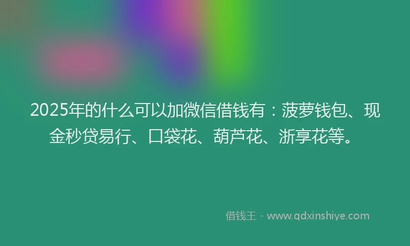 2025年的什么可以加微信借钱有：菠萝钱包、现金秒贷易行、口袋花、葫芦花、浙享花等。