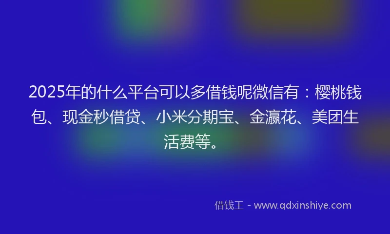 2025年的什么平台可以多借钱呢微信有：樱桃钱包、现金秒借贷、小米分期宝、金瀛花、美团生活费等。