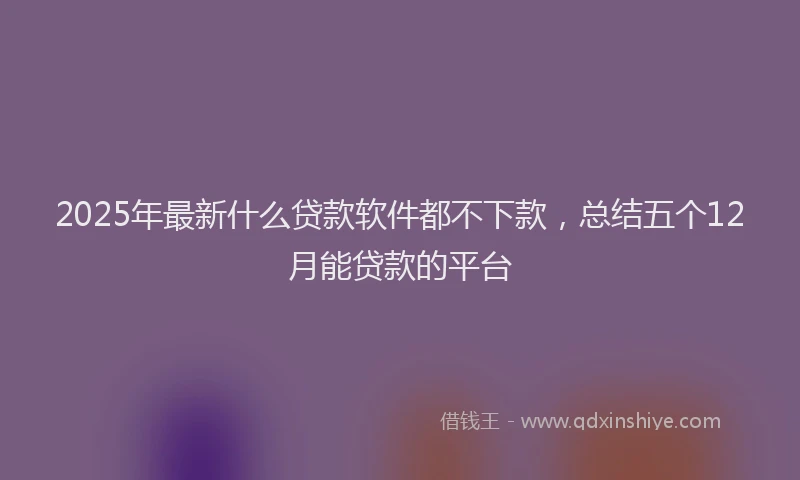 2025年最新什么贷款软件都不下款，总结五个12月能贷款的平台