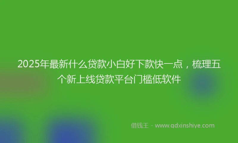 2025年最新什么贷款小白好下款快一点，梳理五个新上线贷款平台门槛低软件