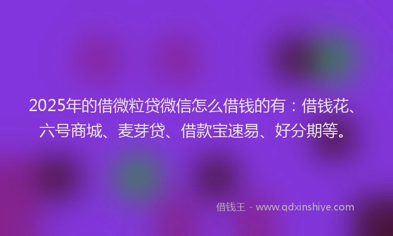 2025年的借微粒贷微信怎么借钱的有：借钱花、六号商城、麦芽贷、借款宝速易、好分期等。
