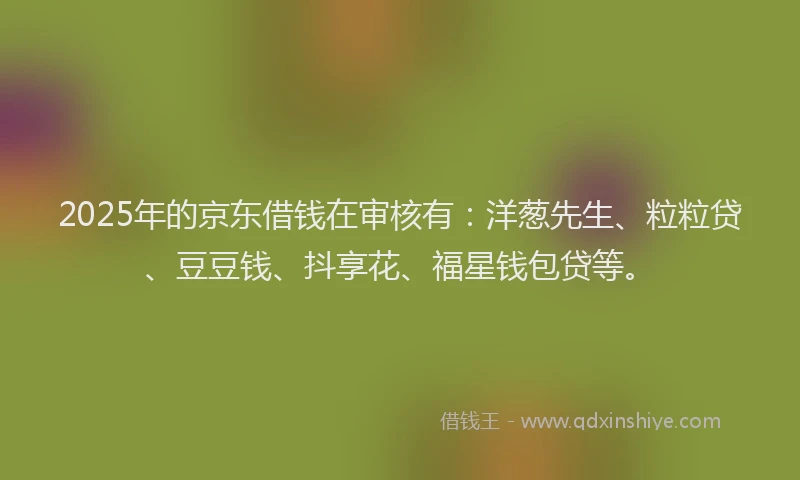 2025年的京东借钱在审核有：洋葱先生、粒粒贷、豆豆钱、抖享花、福星钱包贷等。