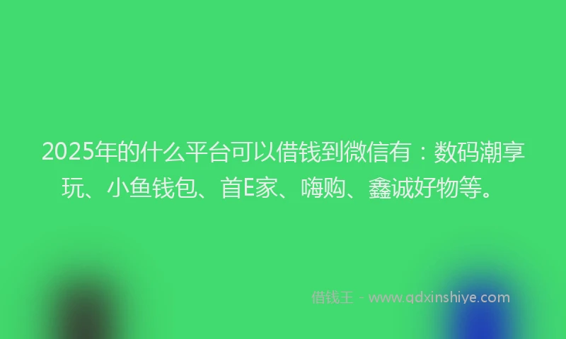 2025年的什么平台可以借钱到微信有：数码潮享玩、小鱼钱包、首E家、嗨购、鑫诚好物等。