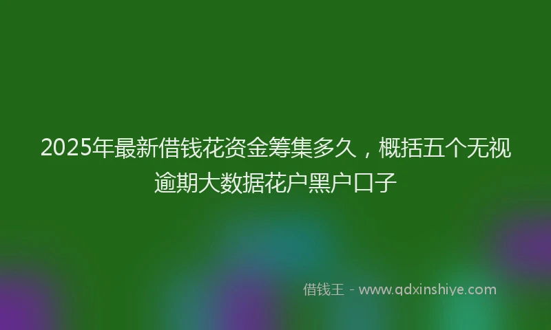 2025年最新借钱花资金筹集多久，概括五个无视逾期大数据花户黑户口子