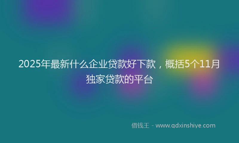 2025年最新什么企业贷款好下款，概括5个11月独家贷款的平台