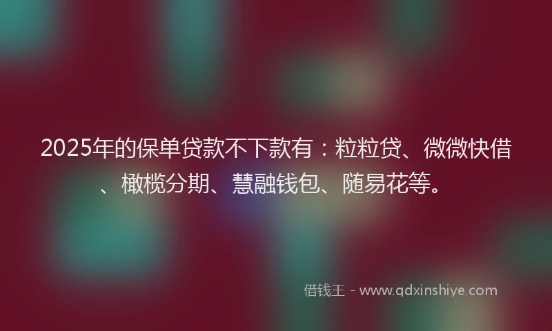 2025年的保单贷款不下款有：粒粒贷、微微快借、橄榄分期、慧融钱包、随易花等。