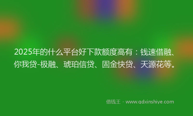 2025年的什么平台好下款额度高有：钱速借融、你我贷-极融、琥珀信贷、固金快贷、天源花等。
