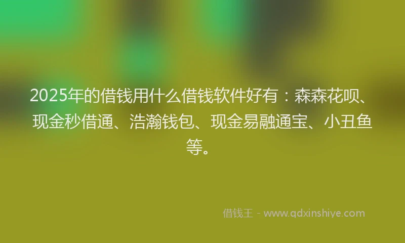 2025年的借钱用什么借钱软件好有：森森花呗、现金秒借通、浩瀚钱包、现金易融通宝、小丑鱼等。