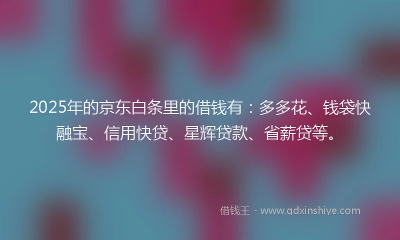 2025年的京东白条里的借钱有：多多花、钱袋快融宝、信用快贷、星辉贷款、省薪贷等。