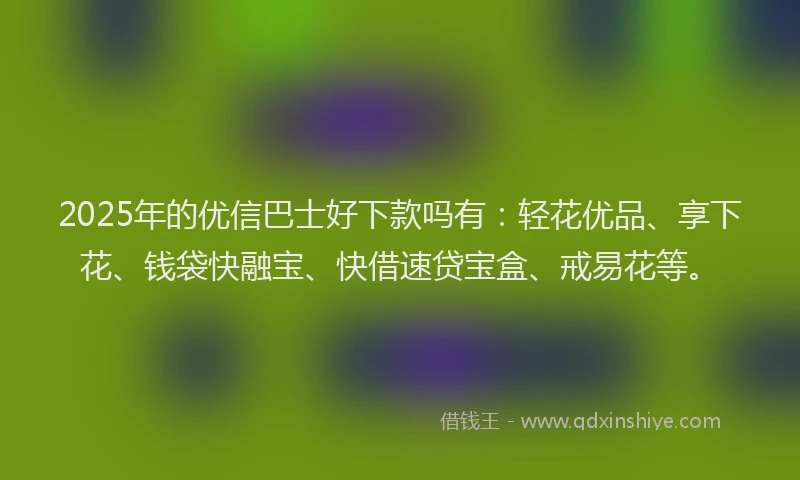 2025年的优信巴士好下款吗有：轻花优品、享下花、钱袋快融宝、快借速贷宝盒、戒易花等。