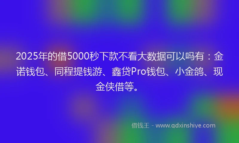 2025年的借5000秒下款不看大数据可以吗有：金诺钱包、同程提钱游、鑫贷Pro钱包、小金鸽、现金侠借等。