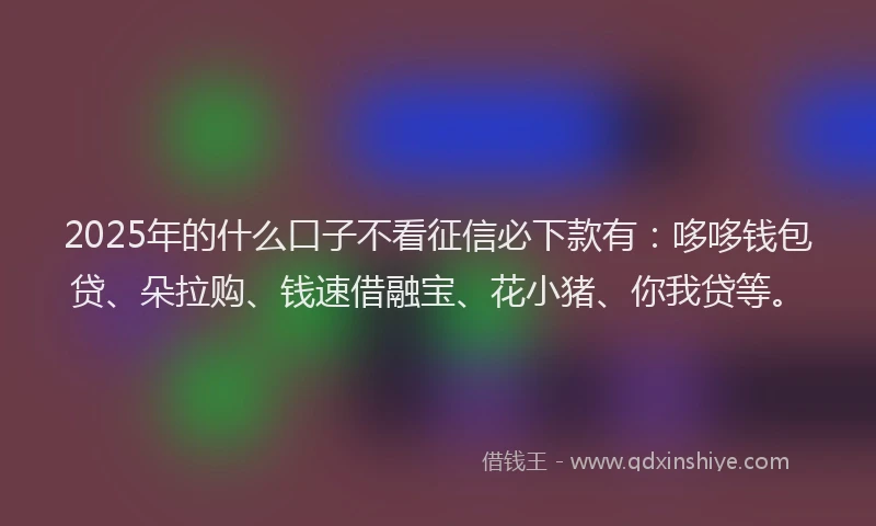 2025年的什么口子不看征信必下款有：哆哆钱包贷、朵拉购、钱速借融宝、花小猪、你我贷等。