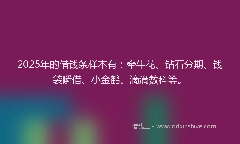 2025年的借钱条样本有：牵牛花、钻石分期、钱袋瞬借、小金鹤、滴滴数科等。