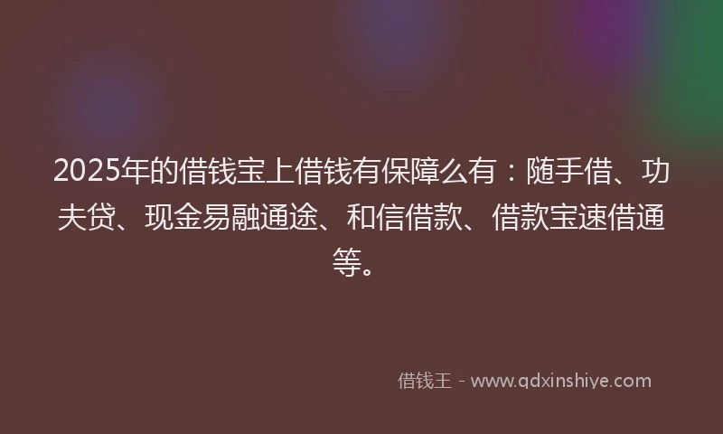 2025年的借钱宝上借钱有保障么有：随手借、功夫贷、现金易融通途、和信借款、借款宝速借通等。
