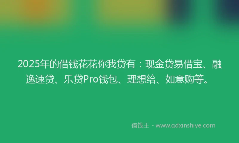 2025年的借钱花花你我贷有：现金贷易借宝、融逸速贷、乐贷Pro钱包、理想给、如意购等。