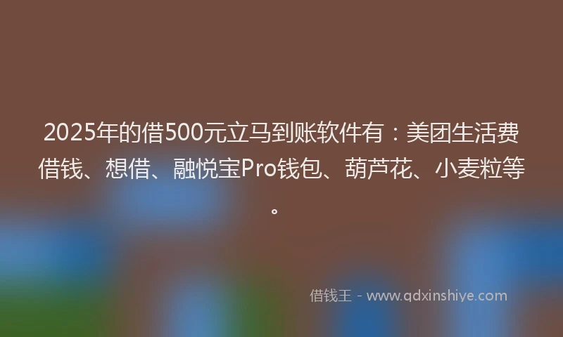 2025年的借500元立马到账软件有：美团生活费借钱、想借、融悦宝Pro钱包、葫芦花、小麦粒等。